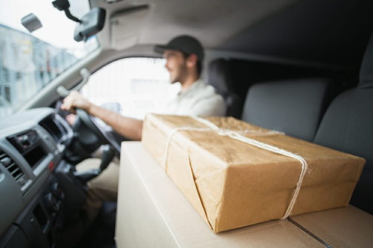 delivery driver background checks